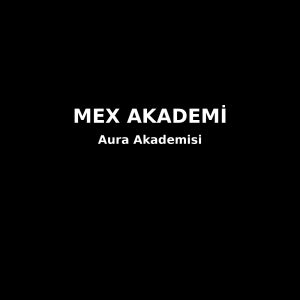 Aura Akademisi