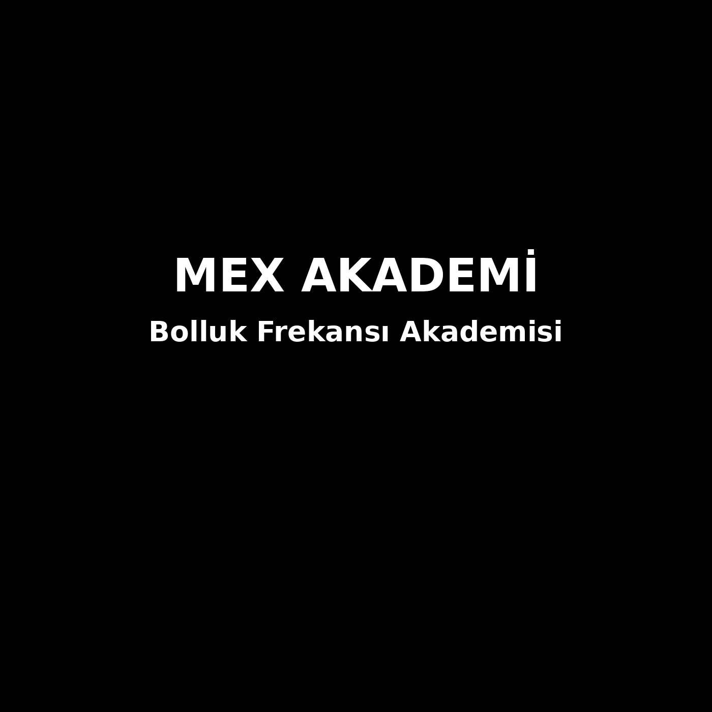 Bolluk Frekansı Akademisi