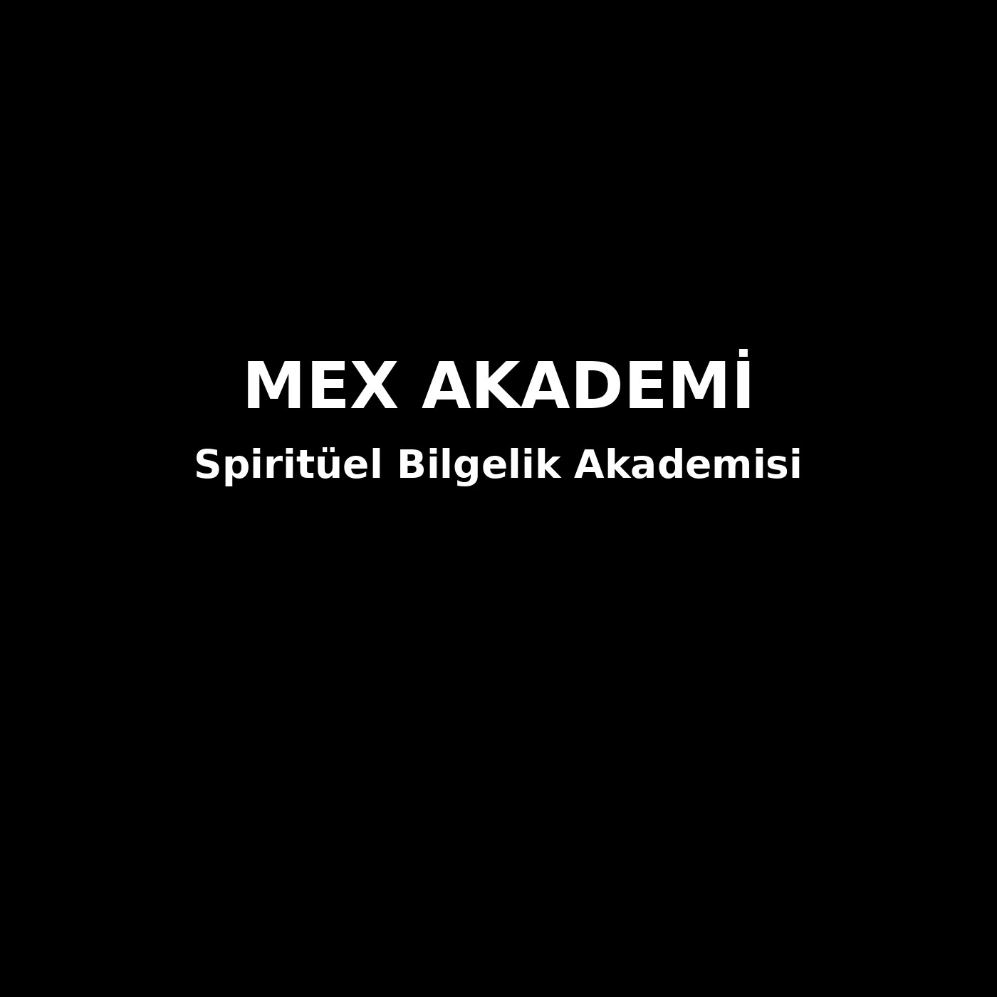 Spiritüel Bilgelik Akademisi
